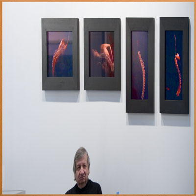 gallerist 41